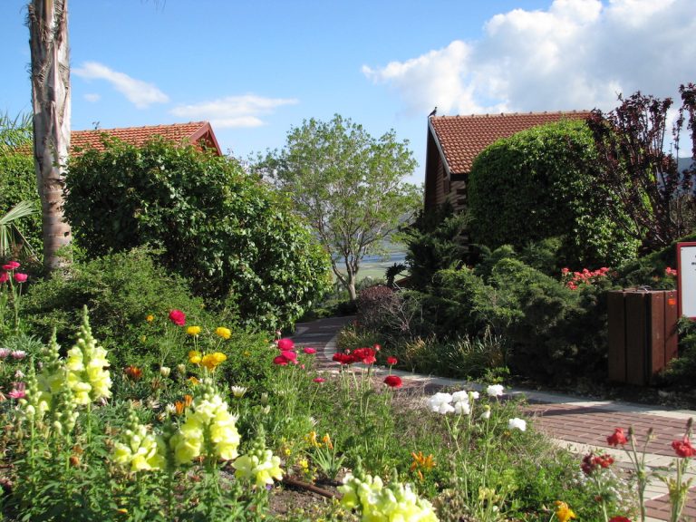 Rooms – Wooden Chalets